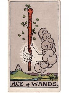 Ace of Wands Tarot Card