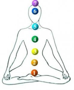 7 chakras of the human body