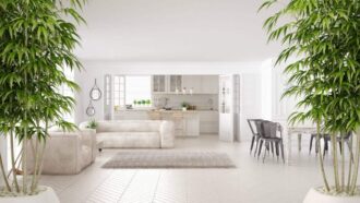 4 Tips to Harmonize the Chi in Your Home
