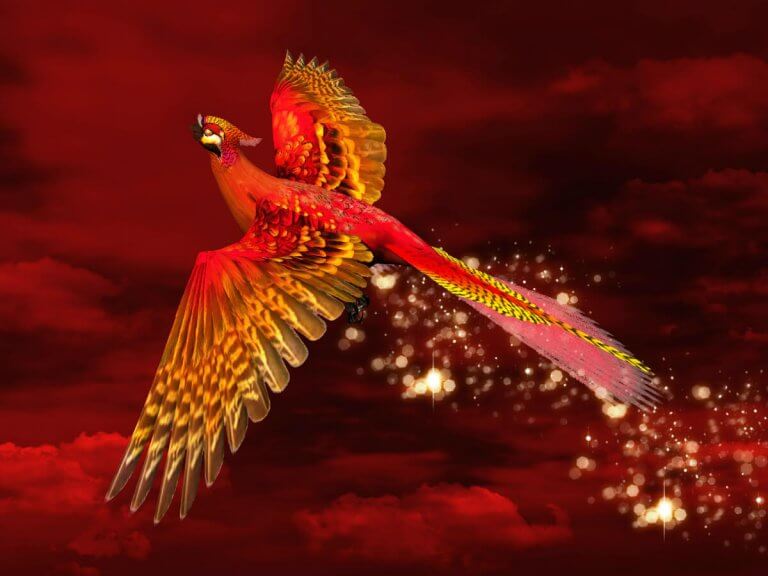Feng Shui Red Phoenix
