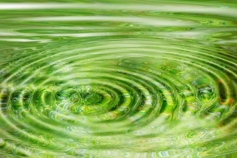 Feng Shui Wisdom For Your Garden and Yard