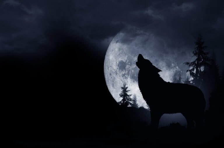 Full Wolf Moon 2020
