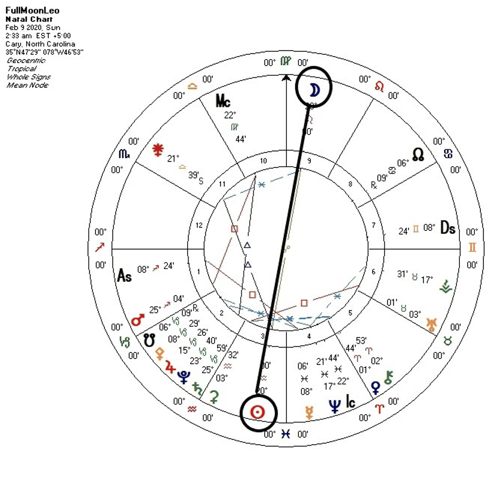 Full Moon in Leo Chart