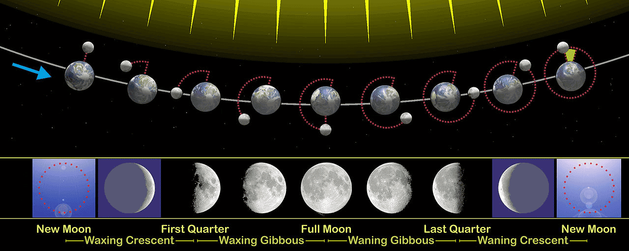Three-Dimensional Moon Phases
