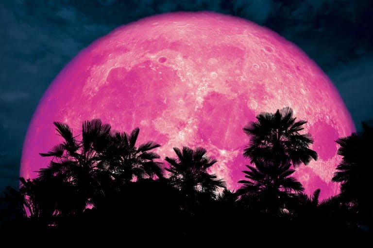 Full Pink Moon 2020