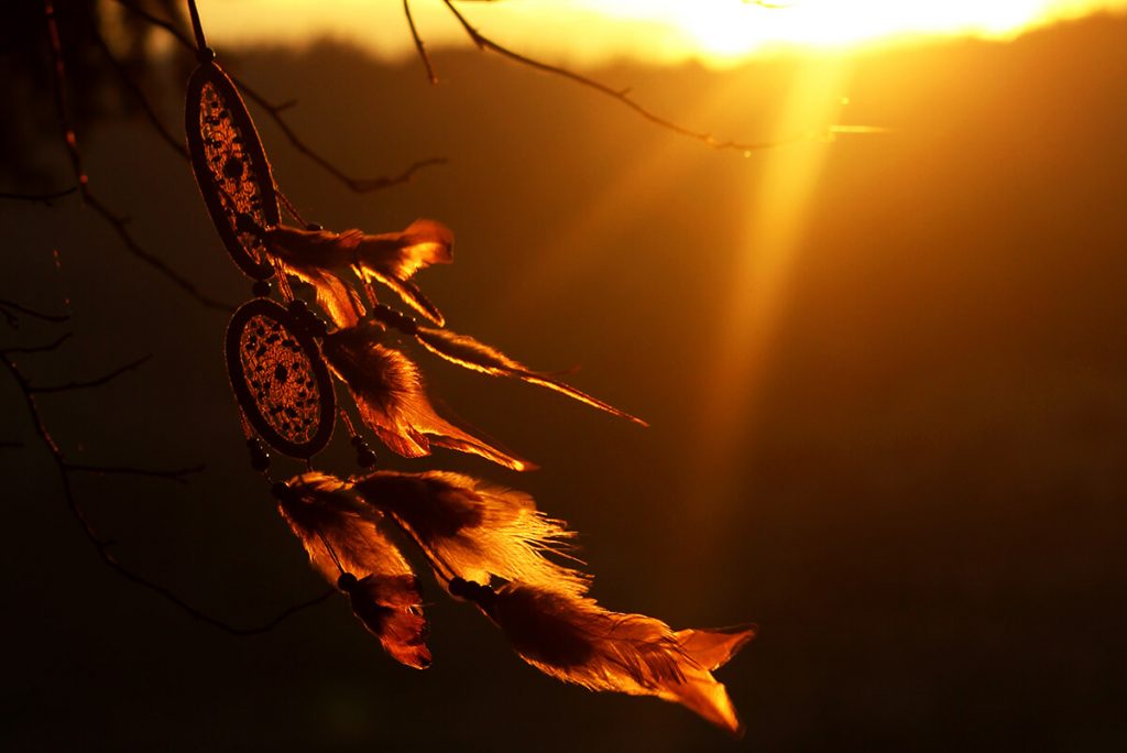 6 Common Dream Themes and Their Meanings
