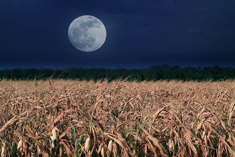 Full Corn Moon 2020
