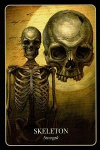 Halloween Oracle Skeleton
