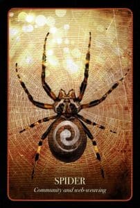 Halloween Oracle Spider