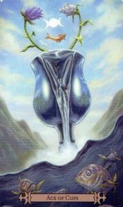 Ace of Cups Spellcaster Tarot