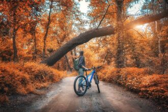 Favorite Fall Activity According to Your Zodiac Sign