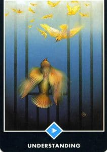 East of Water Understanding Osho Zen Tarot