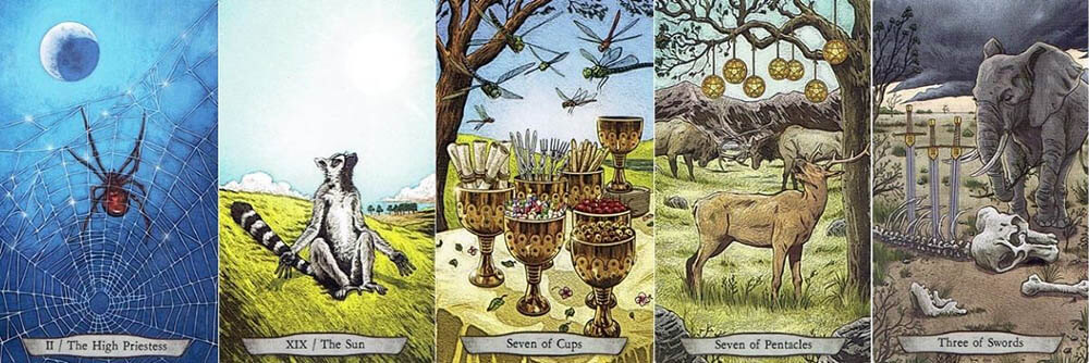 Animal Totem Tarot cards