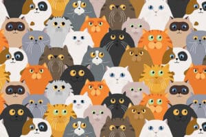 What Is the Best Cat Breed for Your Zodiac Sign