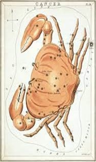 Cancer the cosmic crab