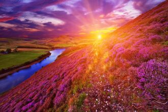 Intuitive Life Path Messages for August 2021