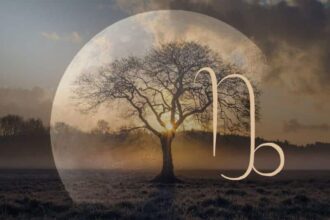 capricorn moon