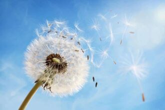 change your life based on zodiac sign