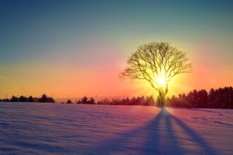soul life path messages for February 2022