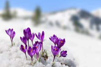 soul life path messages for March 2022