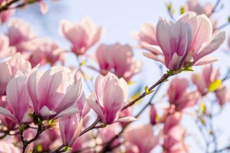 soul life path messages for April 2022