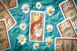 Top Five Tarot Deck Publishers