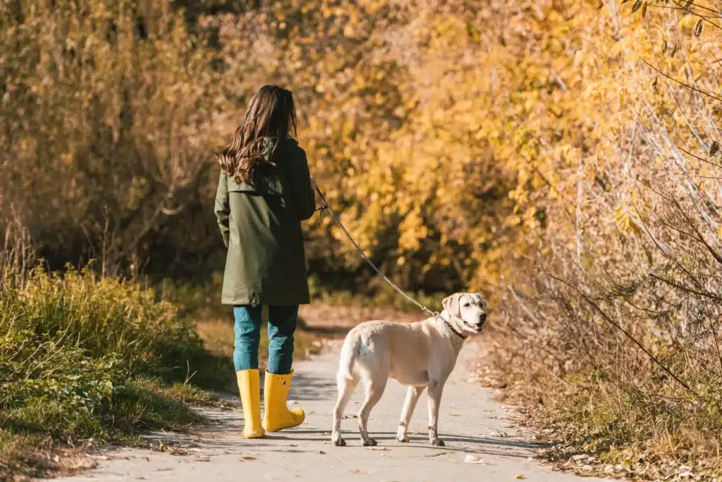 Benefits-of-Walking-in-Nature