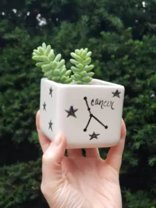 etsy-plant-cancer