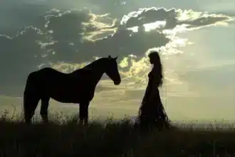 Embracing the Wild: Discovering Your Inner Horse Spirit