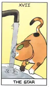 Deck Review The Catomancy The Star tarot answers February 2025