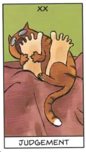 Deck Review The Catomancy Judgement tarot answers February 2025