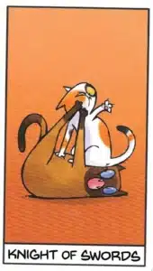 Deck Review The Catomancy Swords 12