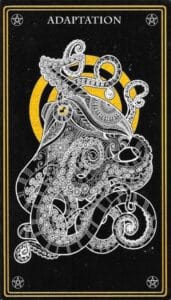 Oráculo Místico Salvaje_Octopus_Adaptación