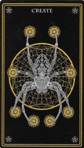 Oráculo_Spider_Crear Místico Salvaje