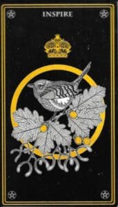 Oráculo Místico Salvaje_Wren_Inspire