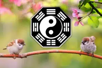 Discover May’s Message from the I-Ching