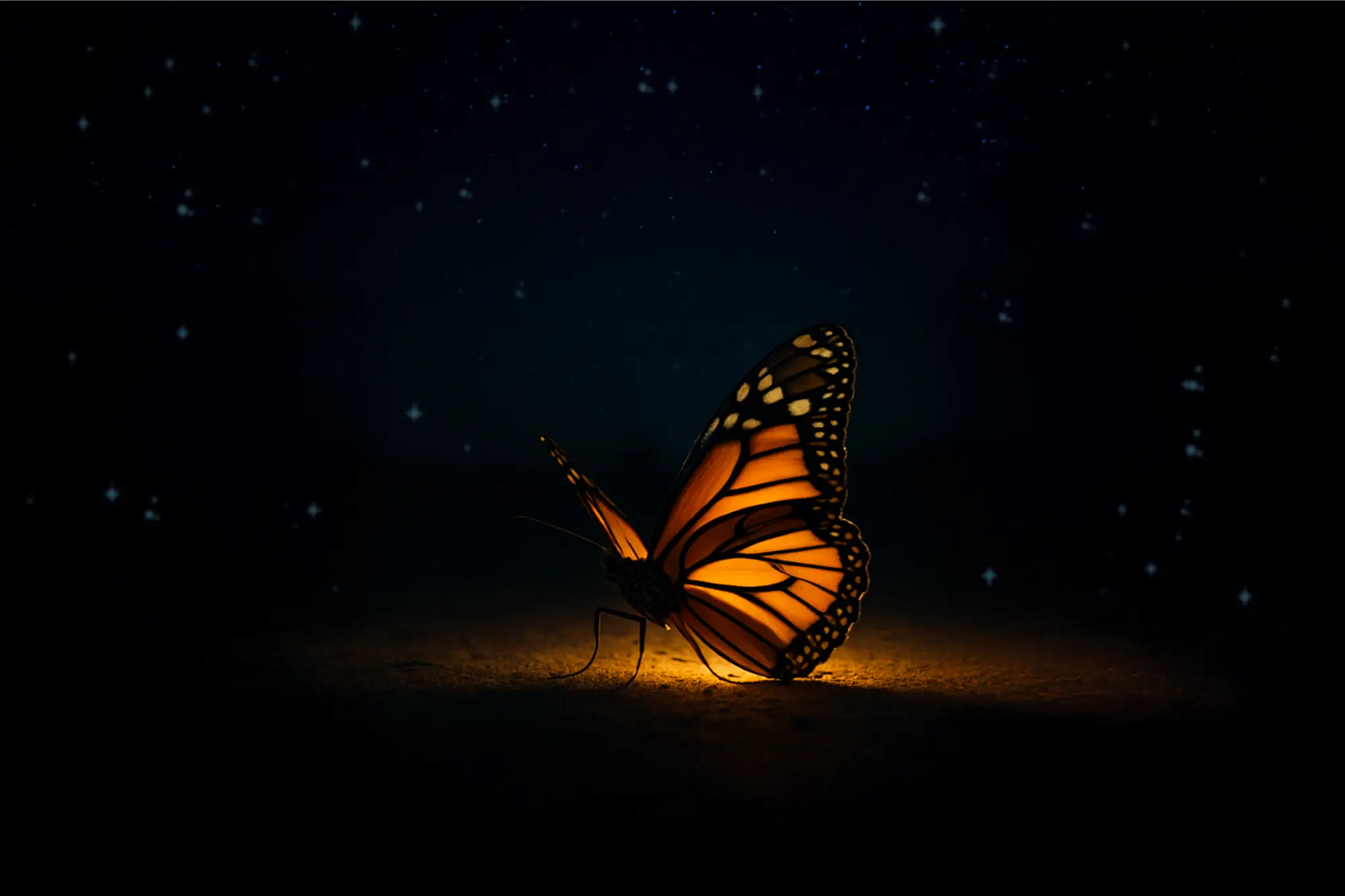 Dark Night of the Soul