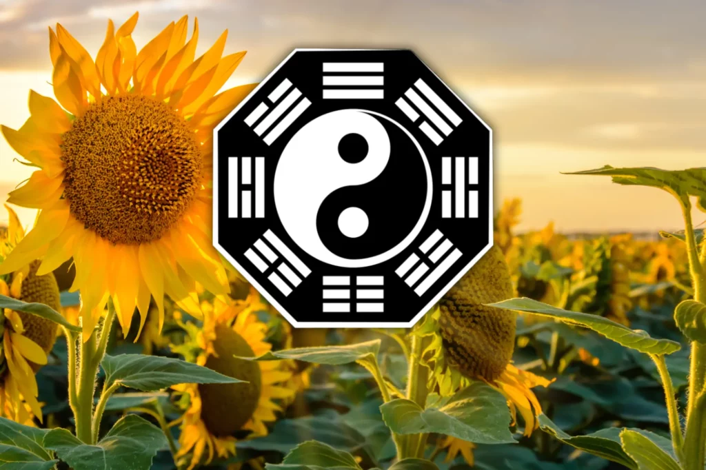 June’s Message from the I-Ching