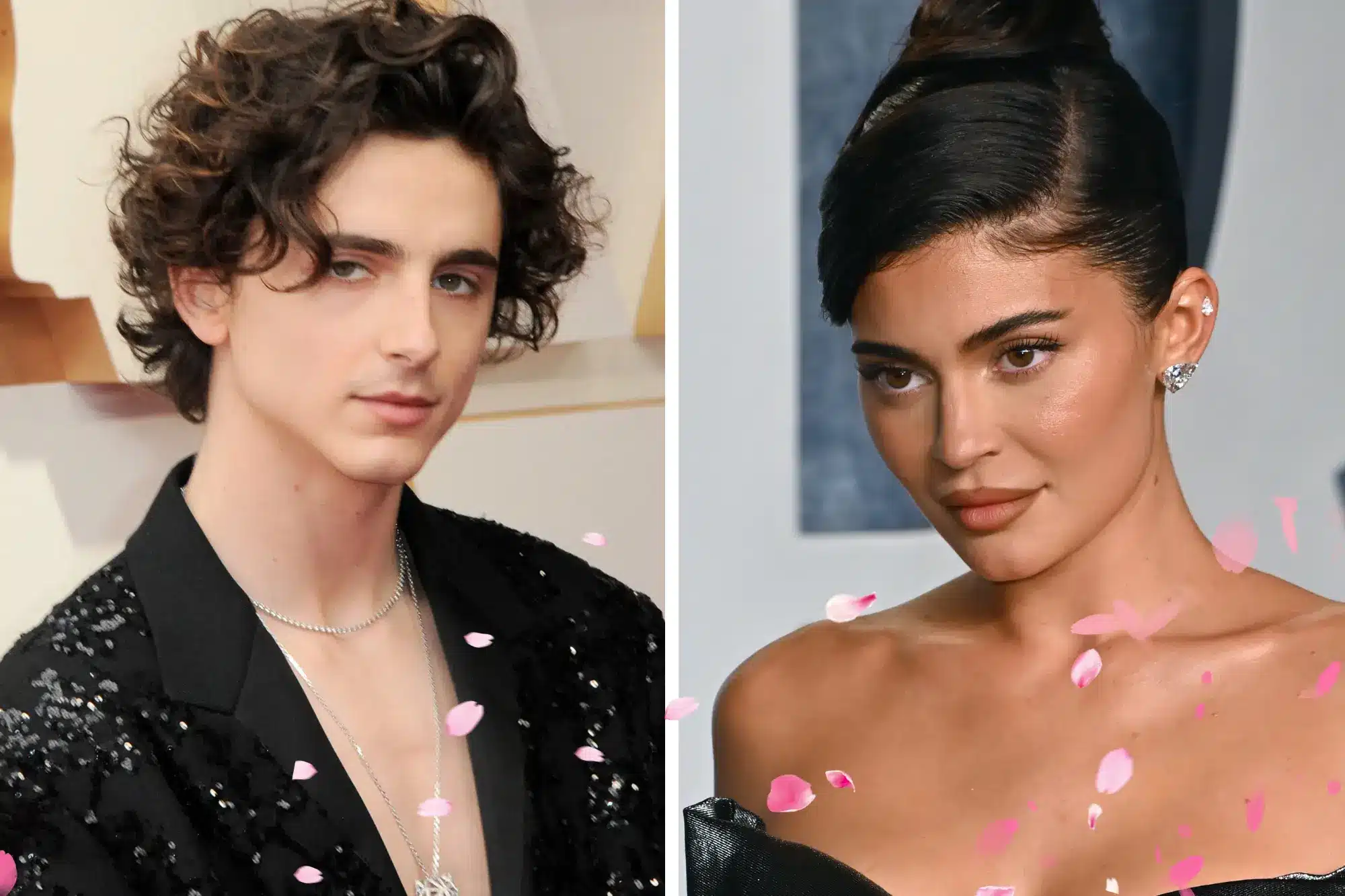 Kylie Jenner Timothée Chalamet compatibility