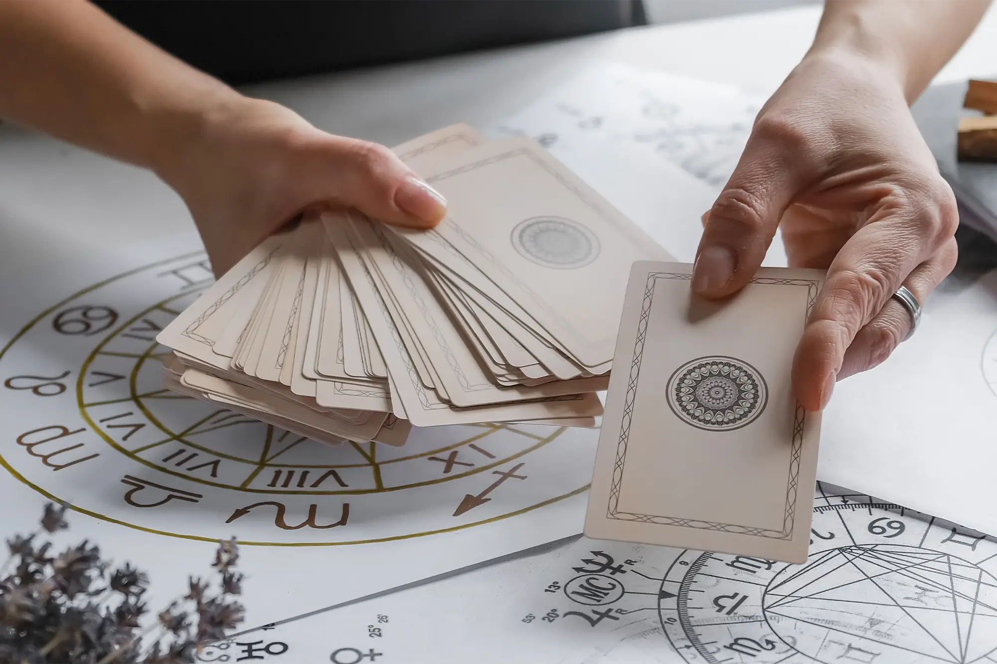 September 2025 Tarotscope