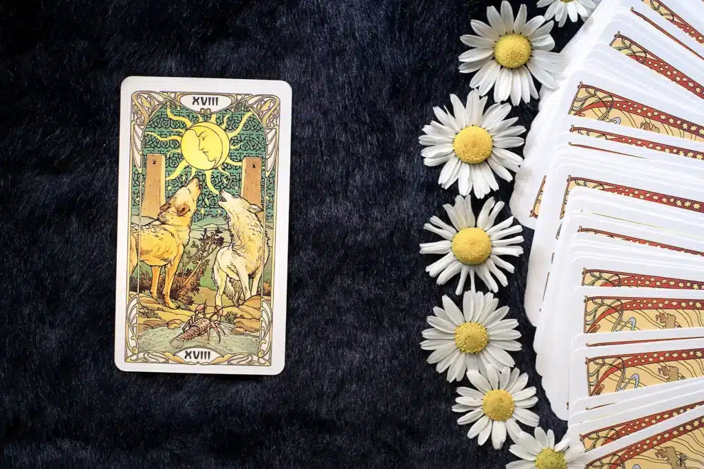 Feeling Stuck? Let Tarot Show You What’s Next
