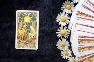 Feeling Stuck? Let Tarot Show You What’s Next