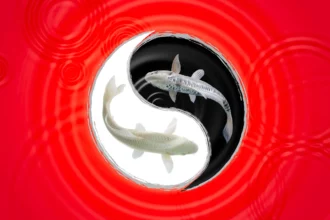 Opposites Attract: Understanding Oppositional Pairs in Astrology